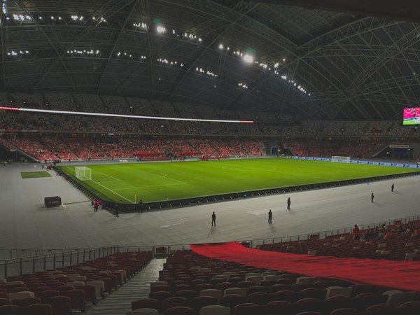 Renforcez vos Bras : Guide Complet pour Débutants en Musculation